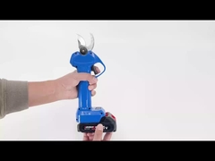 أوستن AES20-3 القصير