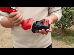 أوستن AES20-4 القصير