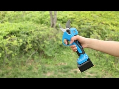 أوستن AES30-3 خزينة