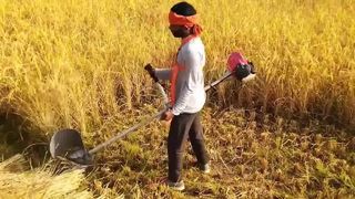 الكل في واحد قاطع فرشاة يعمل بالبنزين وأداة للحديقة